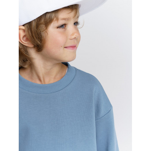LF kids, костюм облегченный  "Sweatshirt" ( цвет голубой).  Арт.  D005