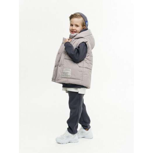 LF kids, жилет демисезонный с капюшоном, цвет серо-бежевый