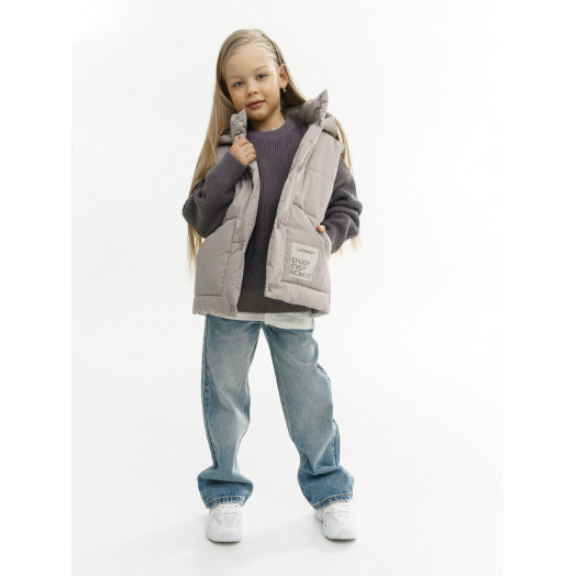 LF kids, жилет демисезонный с капюшоном, цвет серо-бежевый